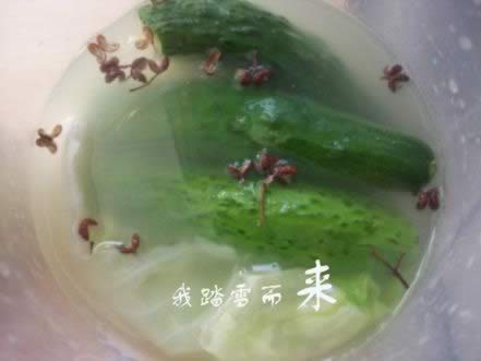 ��ʽ����˺���ƹϵ�����