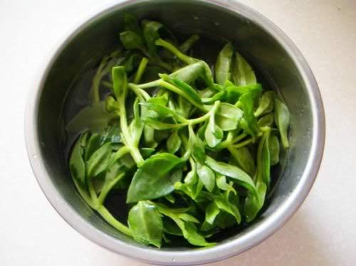 糖醋穿心莲的做法