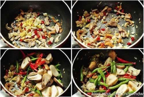 �������ߵ�����