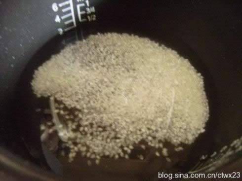 ��ǹ�����Ƥ���������