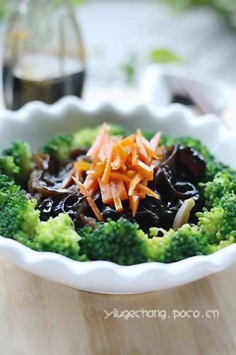 ��������ľ��������