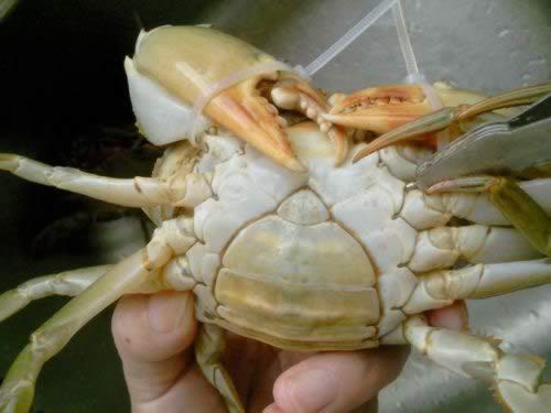 ��������з������