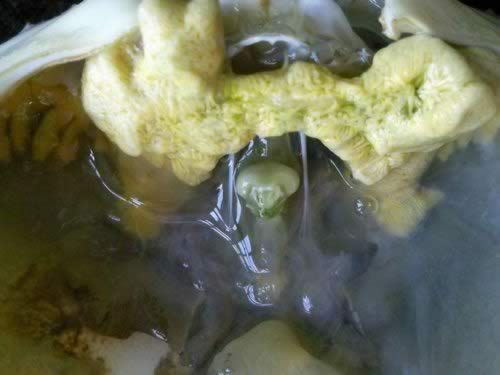 ��������з������