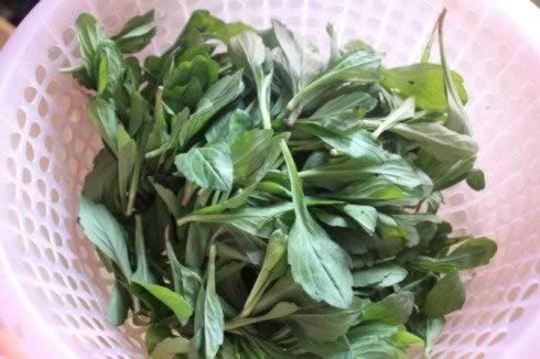 �����������������