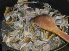 ������Ƭ�㹽������