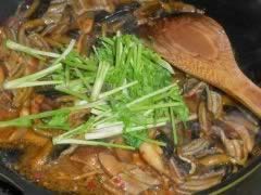 ������Ƭ�㹽������