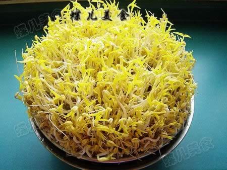 ���������̶�ѿ������