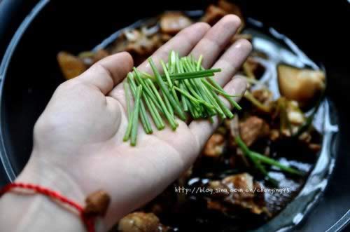 �����Źǵ�����