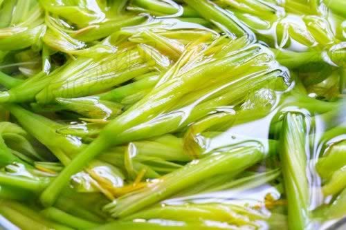 �ƻ��㶹����������