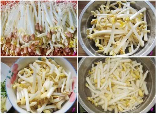 ��������ѿ������