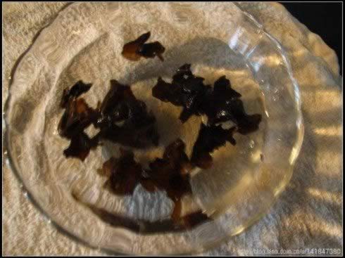 �踯�������