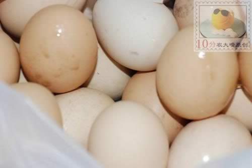 ��������Ƥ��������