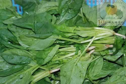 ������ŵ�����