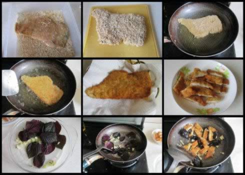 ���ռ��ŵ�����