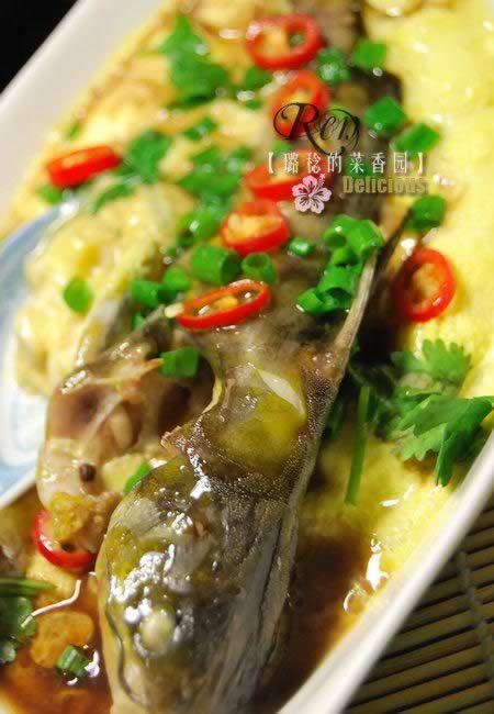 ����������������