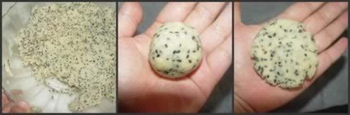 ��֥�����ֵ�����