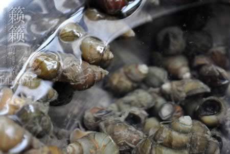 ���㳴�ݵ�����