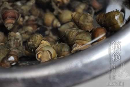 ���㳴�ݵ�����