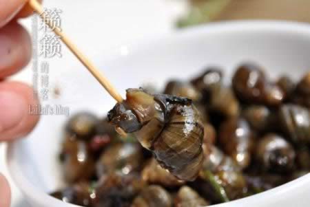 ���㳴�ݵ�����