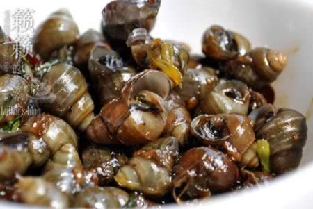 ���㳴�ݵ�����