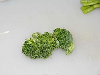 ���ݾ�ɳ���ܽ�ĩ���ͽ�������