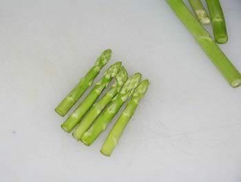 ���ݾ�ɳ���ܽ�ĩ���ͽ�������