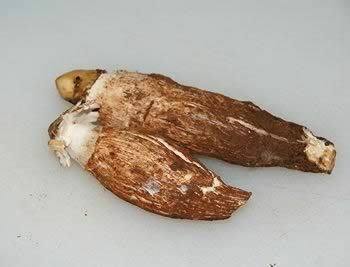 ���ݾ�ɳ���ܽ�ĩ���ͽ�������