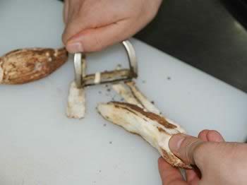 ���ݾ�ɳ���ܽ�ĩ���ͽ�������