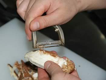 ���ݾ�ɳ���ܽ�ĩ���ͽ�������