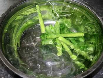 ���ݾ�ɳ���ܽ�ĩ���ͽ�������