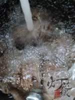 ��ͥ������±ţ�������