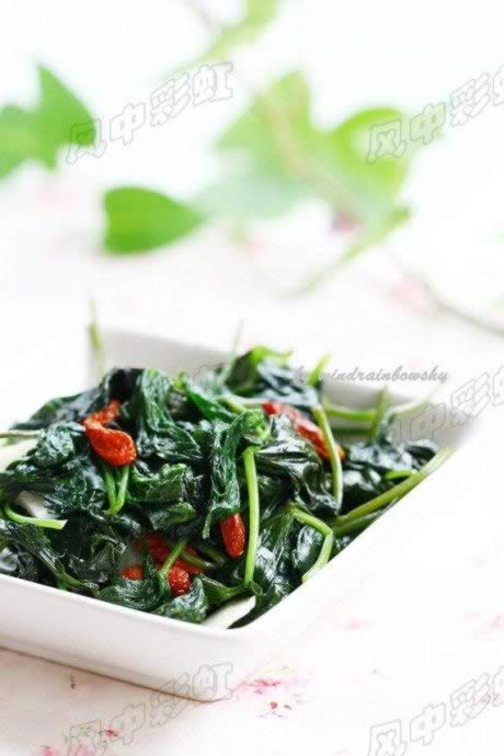 ���غ���Ҷ������