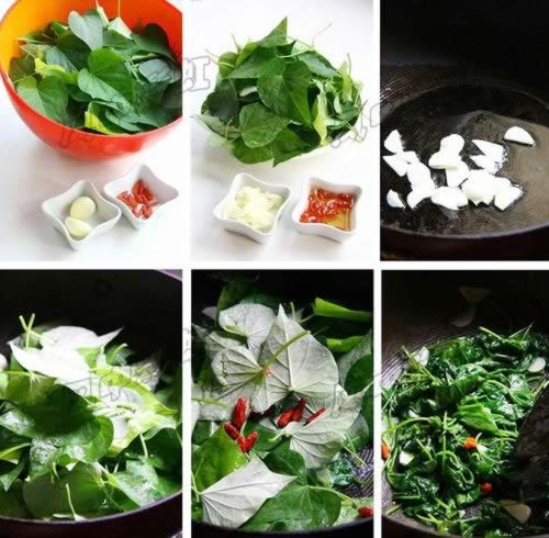 ���غ���Ҷ������