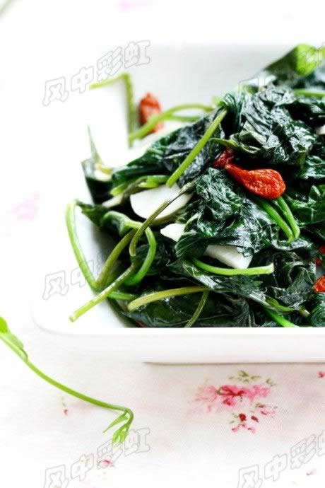 ���غ���Ҷ������