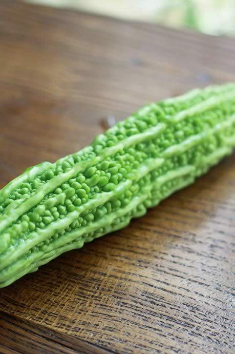 �����Ƭ������