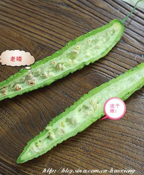 �����Ƭ������