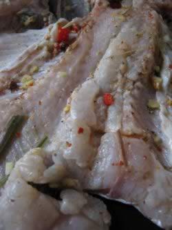 ̩ʽ���ʿ��������