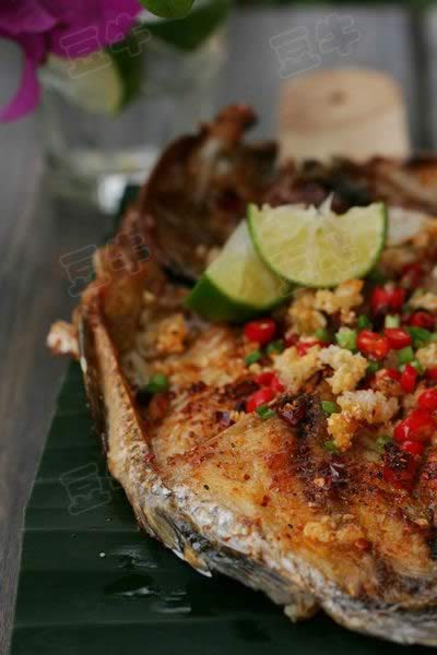 ̩ʽ���ʿ��������