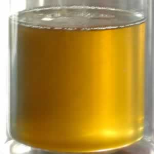 �����彡���������������