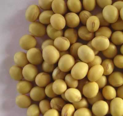 �����彡���������������