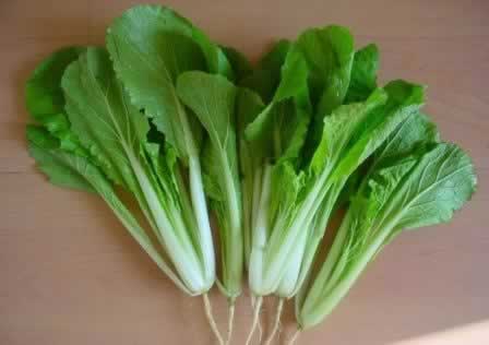 ʮ���߲����ʺ϶����