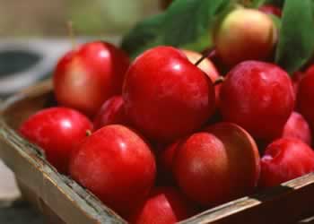 ʮ����ڳ�ȥ������ʳ