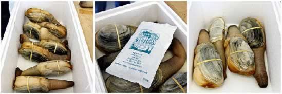 �̵�������������׳����