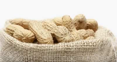 �����Ի������5�ֿ�����