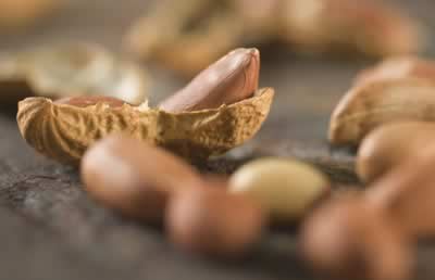 �����Ի������5�ֿ�����