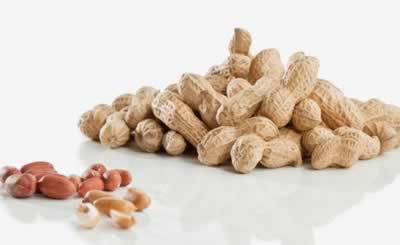 �����Ի������5�ֿ�����