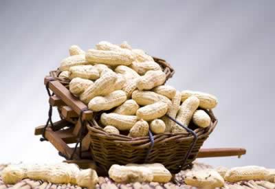 �����Ի������5�ֿ�����