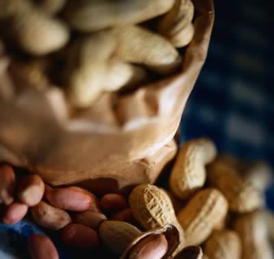 �����Ի������5�ֿ�����