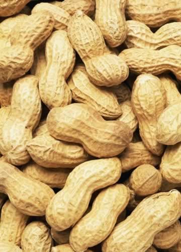 ������������ �������������