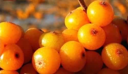 ���������������� ����ʳ����ǿ������